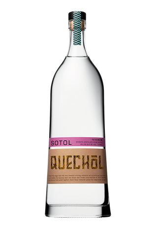 QUECHOL SOTOL TEXANUM